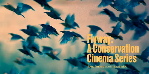 Flyway: A Conservation Cinema Series