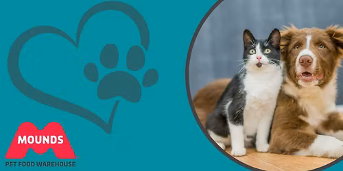 Friends of Noah at Mounds