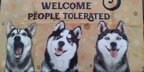 November Husky Malamute Meet