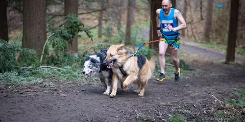 Hamsterley Forest Winter Trails Canicross 10k and Half Marathon