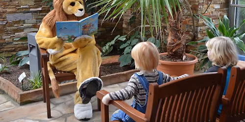 Mit der Bibo auf Entdeckungstour