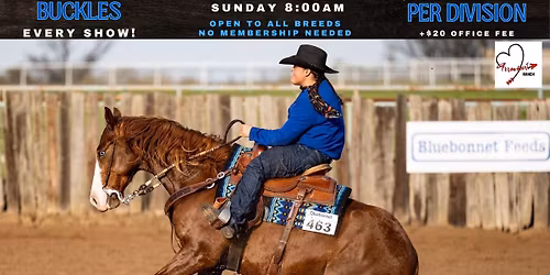 Arrowheart Ranch Horse Buckle Show 