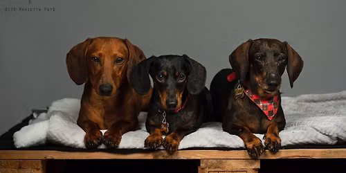 X. TACSI TALI VESZPR\u00c9M