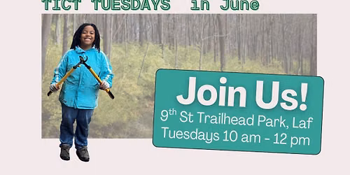 TICT Tuesday at McAllister