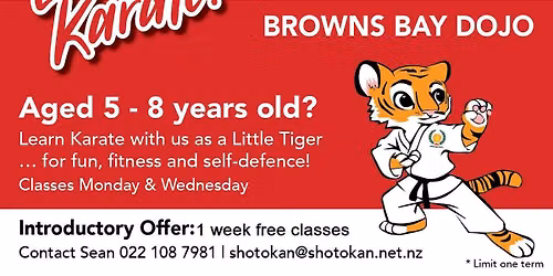 JKS Northshore Little Tigers Karate Classes 5-8 Year old