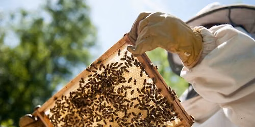 Drayton WI - June Meeting