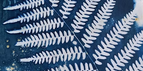 An Introduction to Cyanotype Printing