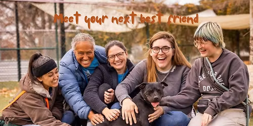 Woof Walk \ud83e\udd83 #ShelterFrensgiving