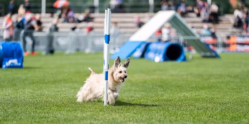 Intenzivn\u00ed tr\u00e9nink - \u017dabe\u0148 2.5.2026