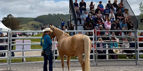 Tauranga: Positive reinforcement training with your horse