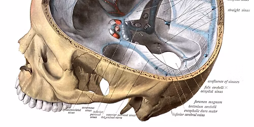 Szkolenie: Napi\u0119ciowe b\u00f3le g\u0142owy
