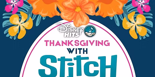 Thanksgiving With Stitch Skate 