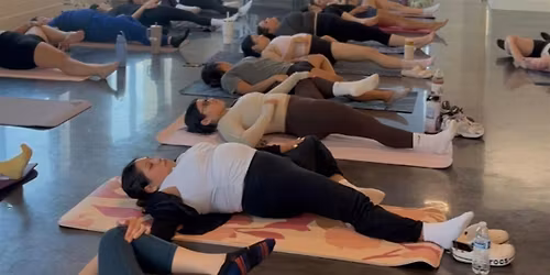 Wellness: & Wisdom:  Mobility, Sound Bath & Sea Moss