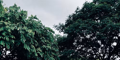 Let\u2019s Go Outdoors! - A Nature Playdate by Tiny Hoomans