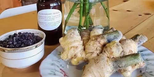 Fire Cider & Elderberry Syrup Mutual Aid Workshop