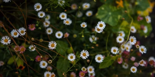 Caring for The Commons