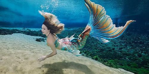 Field Trip: Weeki Wachee Springs State Park \u2728