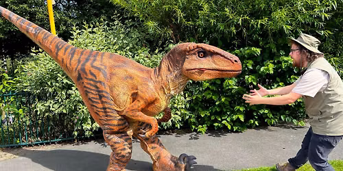 Dinosaurs Roar \ud83e\udd96