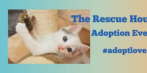 Cat and Kitten Adoption Event PetSmart Encinitas