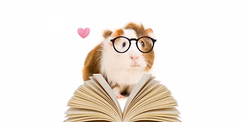 Read to a Guinea Pig with Wheektopia Guinea Pig Care & Rescue Center*