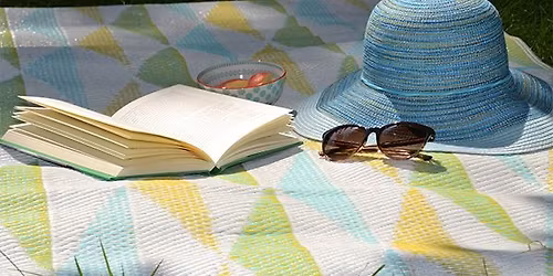 Silent Book Club Roanoke at Wasena Park\/RND Picnic