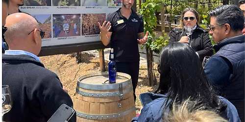 Temecula Vineyard and Winery Private Tour
