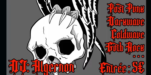 La Crypte des Damn\u00e9s - DJ set Goth au Black Cat Pub