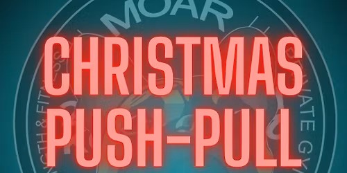 CHRISTMAS PUSH PULL 