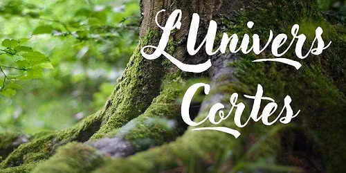 March\u00e9 de no\u00ebl Bettant