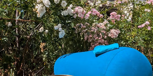 Journey to Stillness