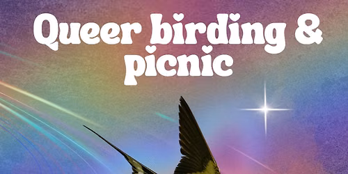 Pride month queer bird walk and picnic in Helsinki