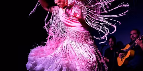 NOCHE FLAMENCA