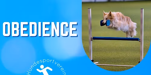 Obedience Pr\u00fcfung Angerland