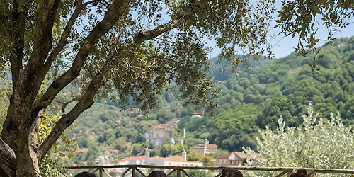 Art Class in Sorrento \u2013 Painting Experience