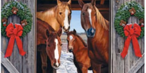 Awards banquet & dinner auction