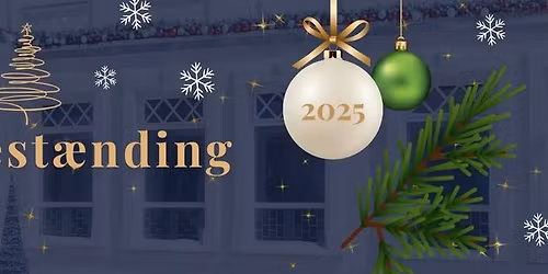 🎄✨Juletræstænding 2025✨🎄