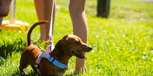 Barking Matters - Free Pet Parent Workshop