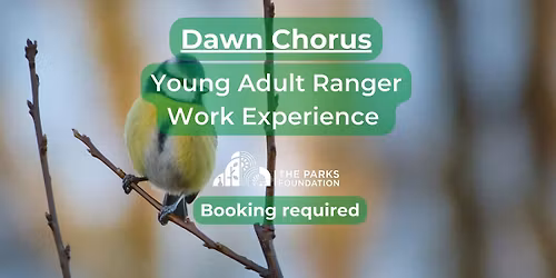 Dawn Chorus - Young Adult Ranger Work Experience at Redhill Park