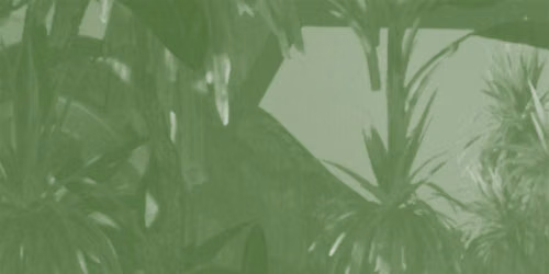 12 Years of Turf: In-conversation with Amy J Wilson & Meitao Qu