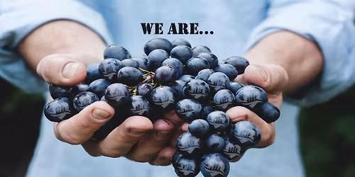 "We Are Vineyard" Class