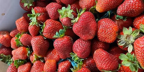 Farmer's Choice: Fruits + Flights