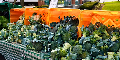 Schaumburg Farmers Market