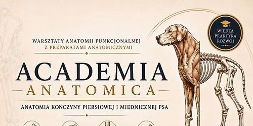 Anatomia ko\u0144czyny piersiowej i miednicznej psa 