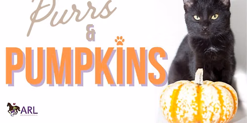 Purrs & Pumpkins