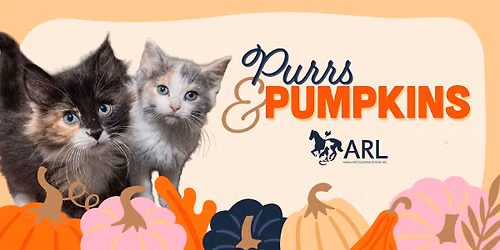 ARL Purrs & Pumpkins