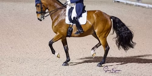 \u2728 Friday Night Stars - CDIO3* Grand Prix