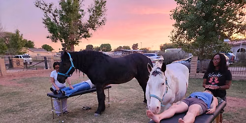 Reiki Among The Horses