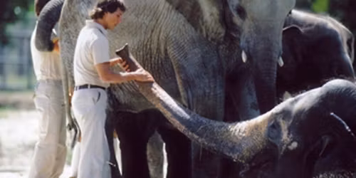 Zoo\u2014Wisemania Film Series