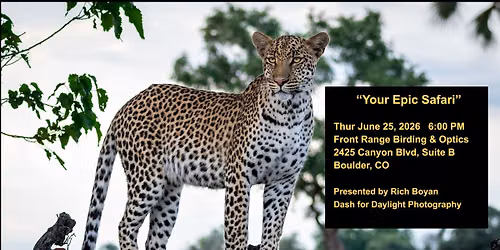 Your Epic Safari with Rich Boyan from Dash for Daylight Photography