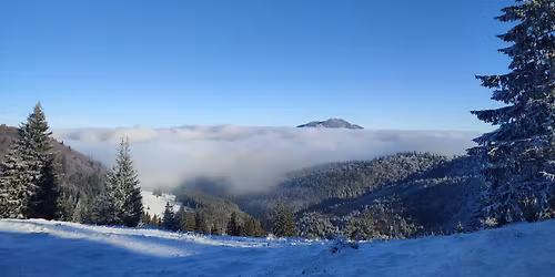 Drumetie \ud83d\udd34100 lei de Iarn\u0103 Cabana Diham